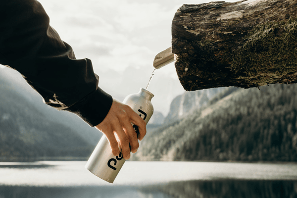 Hand holding a water bottle under a water spout in a tree trunk